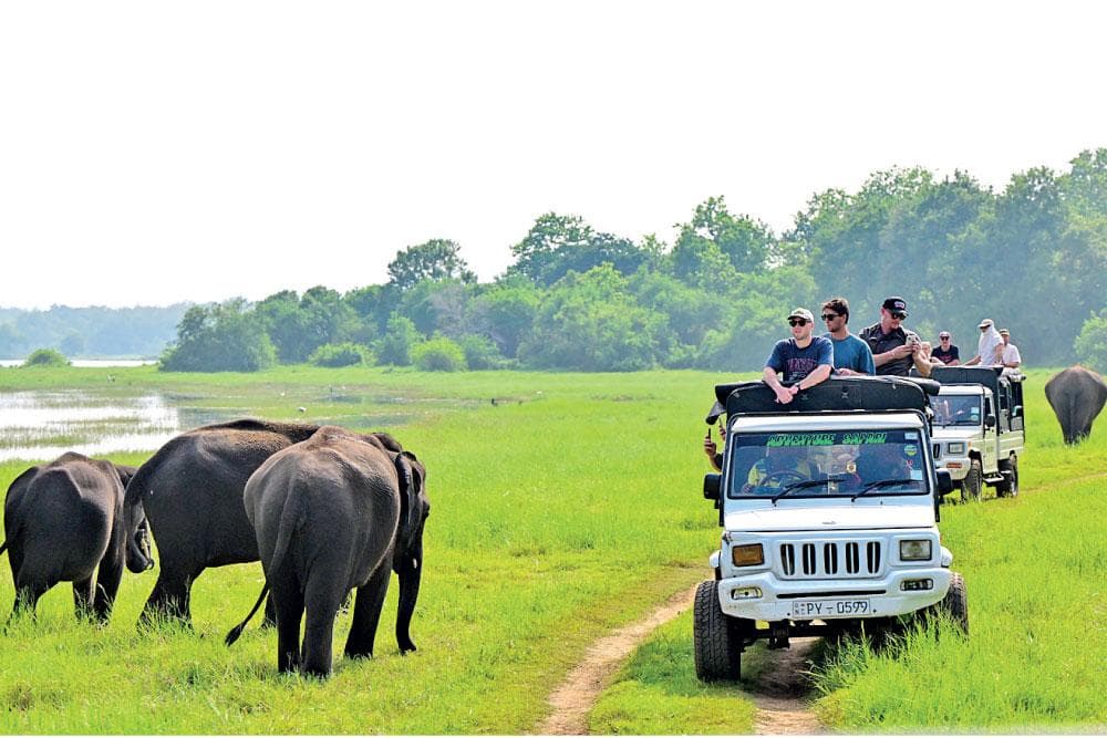 Beachfront Resort View